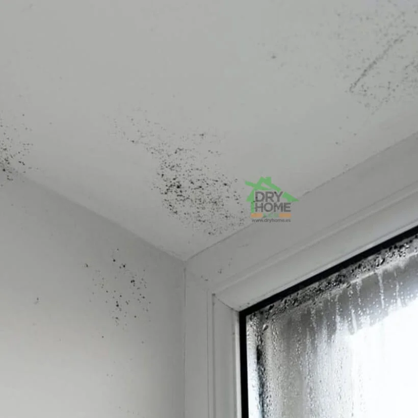 dryhome-reparacion-humedad-condensación-marbella-mijas-malaga-san-pedro-alcantara