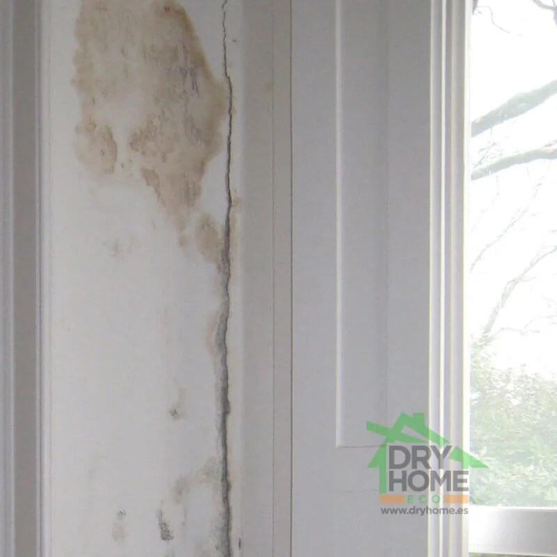 dryhome-reparacion-humedad-condensación-marbella-mijas-malaga-san-pedro-alcantara